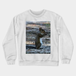 Little Squirrel Crewneck Sweatshirt